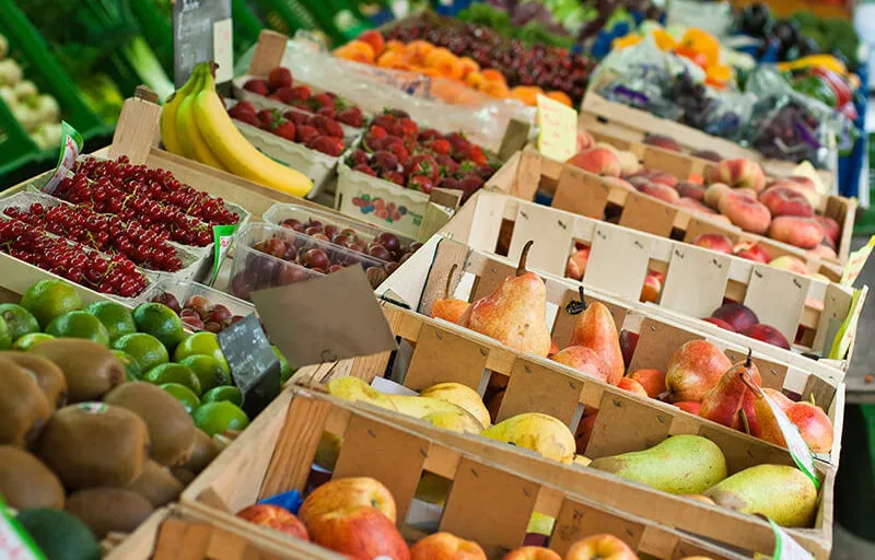 Suivi nutritionnel personnalisé